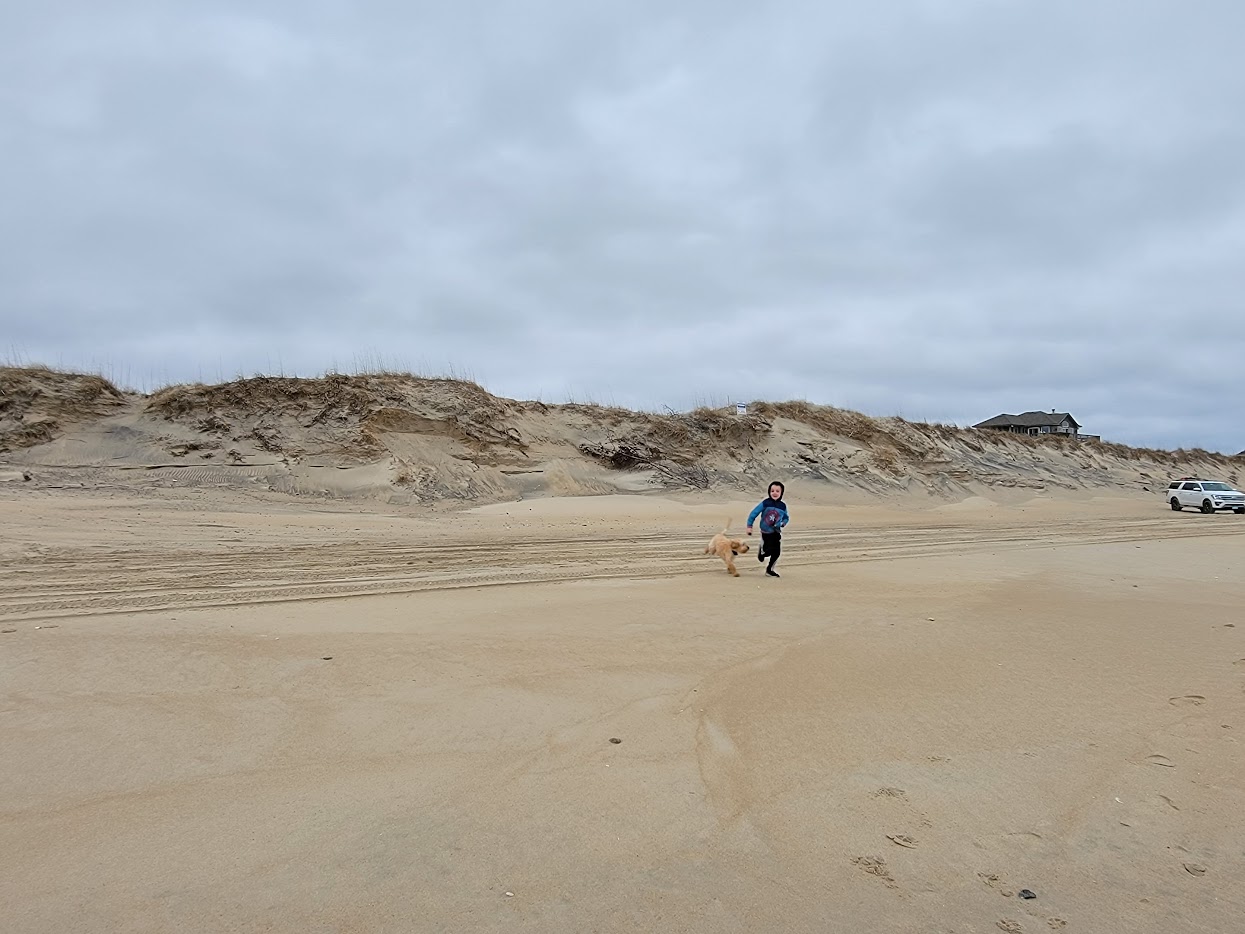 Kid and dog playing on beach